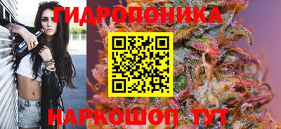 гидра Бийск