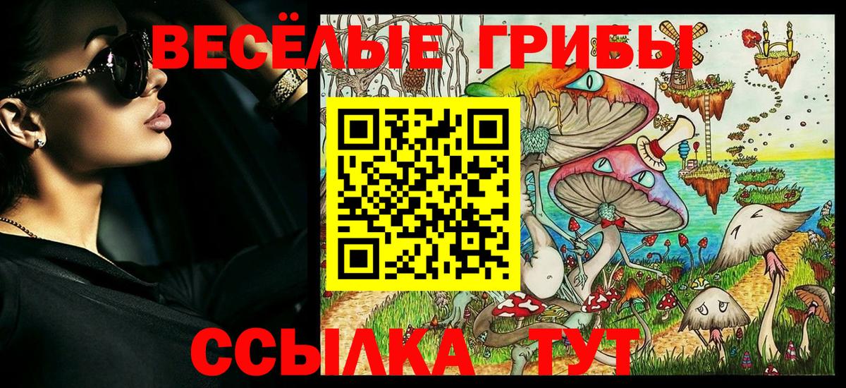 Псилоцибиновые грибы прущие грибы Кашира