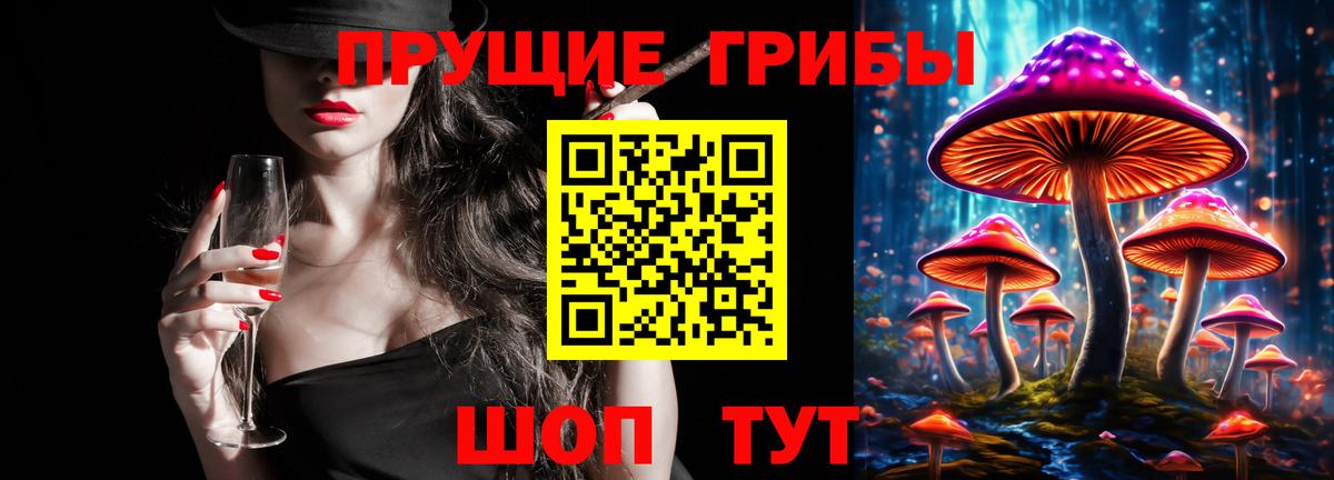 Кашира  Псилоцибиновые грибы ЛСД  Вход с VPN  Галлюциногенные грибы прущие грибы 